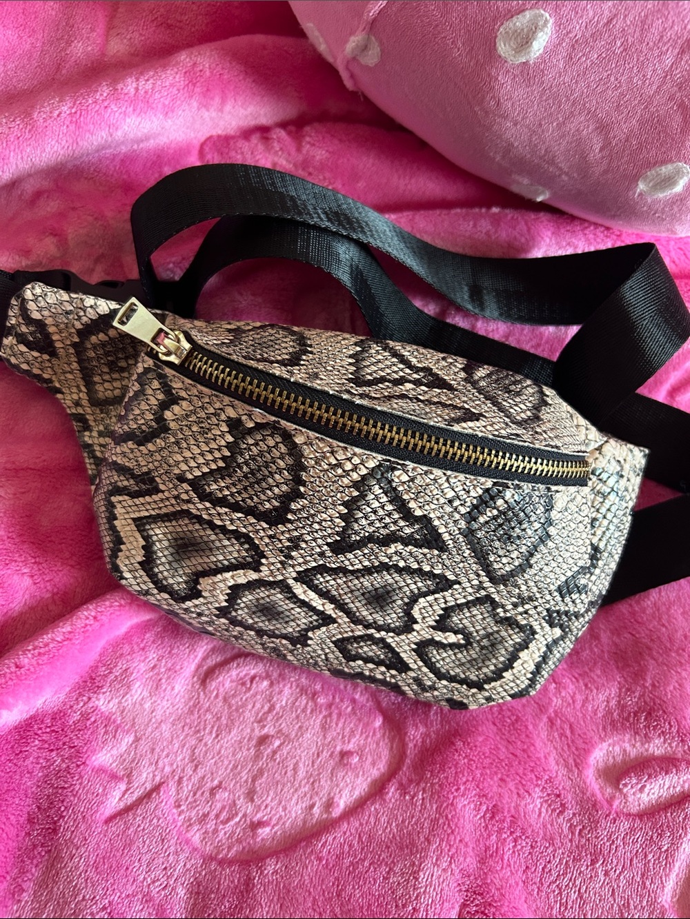 Python-Print Belt Bag - Black and Cream